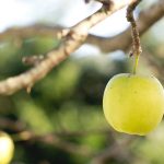 “Is health service transgender friendly?”