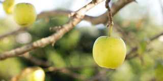 “Is health service transgender friendly?”