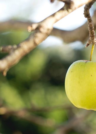 “Is health service transgender friendly?”