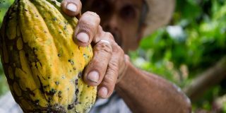 Mother knows best: Ty Montgomer intro to fooball came from Mom Mother knows best: Ty Montgomer intro to fooball came from Mom