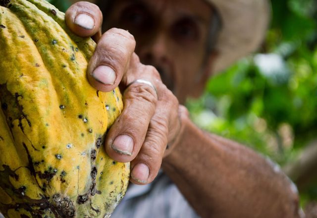 Mother knows best: Ty Montgomer intro to fooball came from Mom