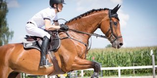 Stumped podcast: Ashes special with the two Hoggys