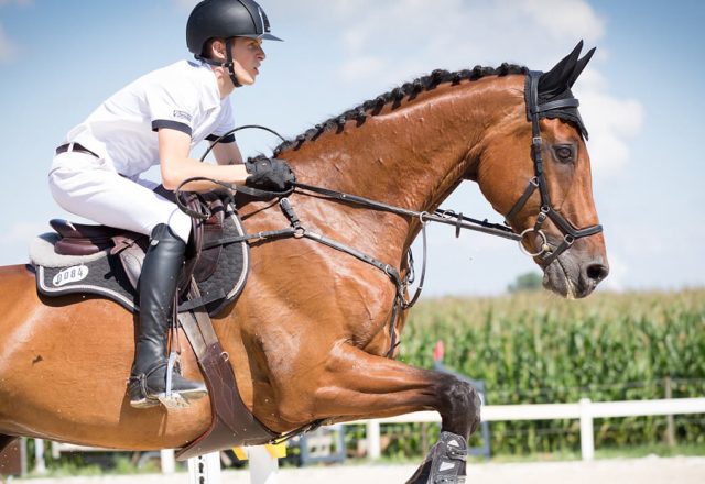 Stumped podcast: Ashes special with the two Hoggys