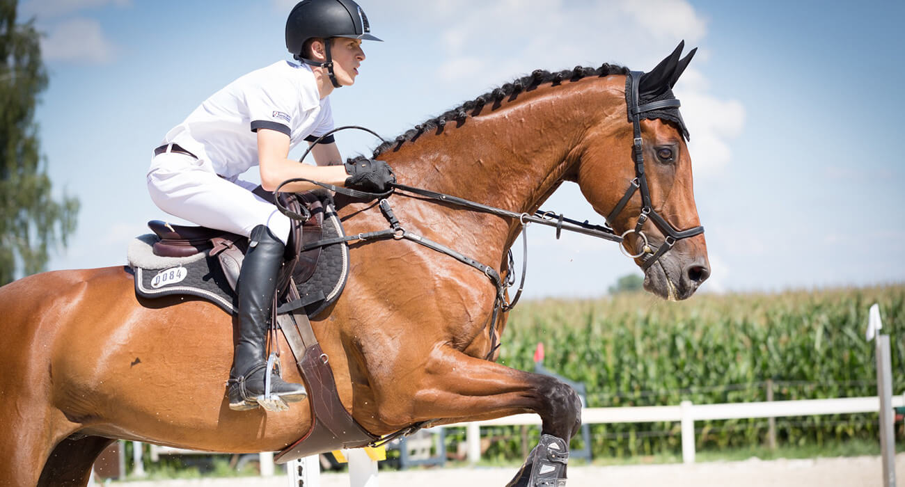 Stumped podcast: Ashes special with the two Hoggys